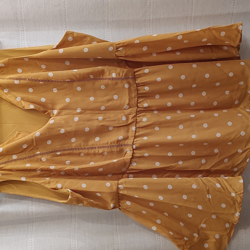 Lane Bryant shirt